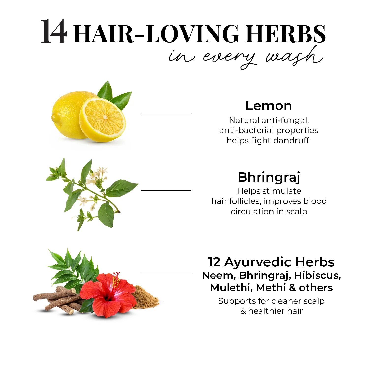 Anti Dandruff Shampoo | Lemon, Bhringraj & 12 Herbs - Image 5