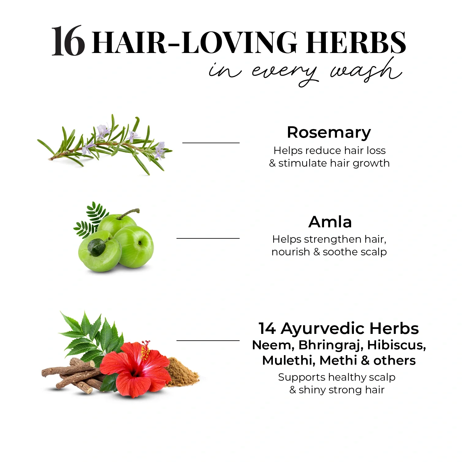 Anti Hairfall Conditioner | Rosemary, Amla & 14 Herbs - Image 5