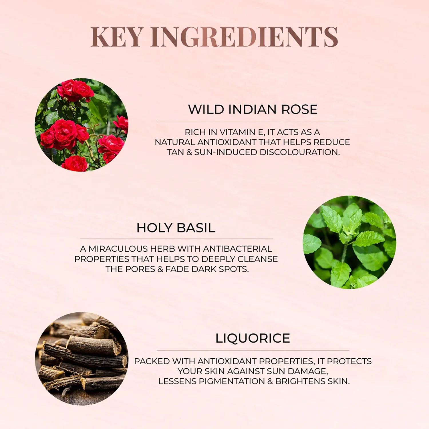 Anti-Tan Face Pack - Wild Indian Rose - Image 4