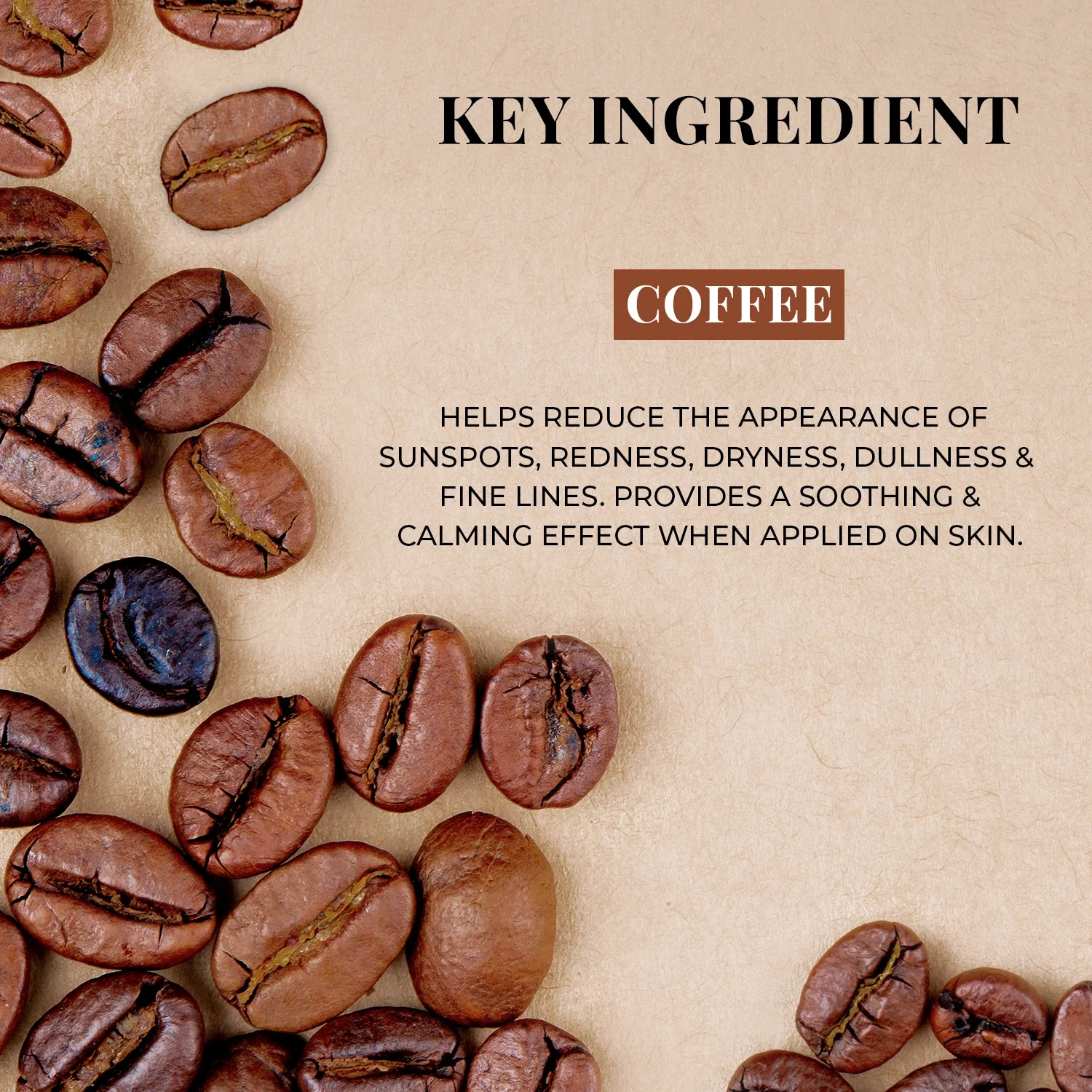 Coorgi Coffee Nourishing Handmade Bathing Bar - Image 4