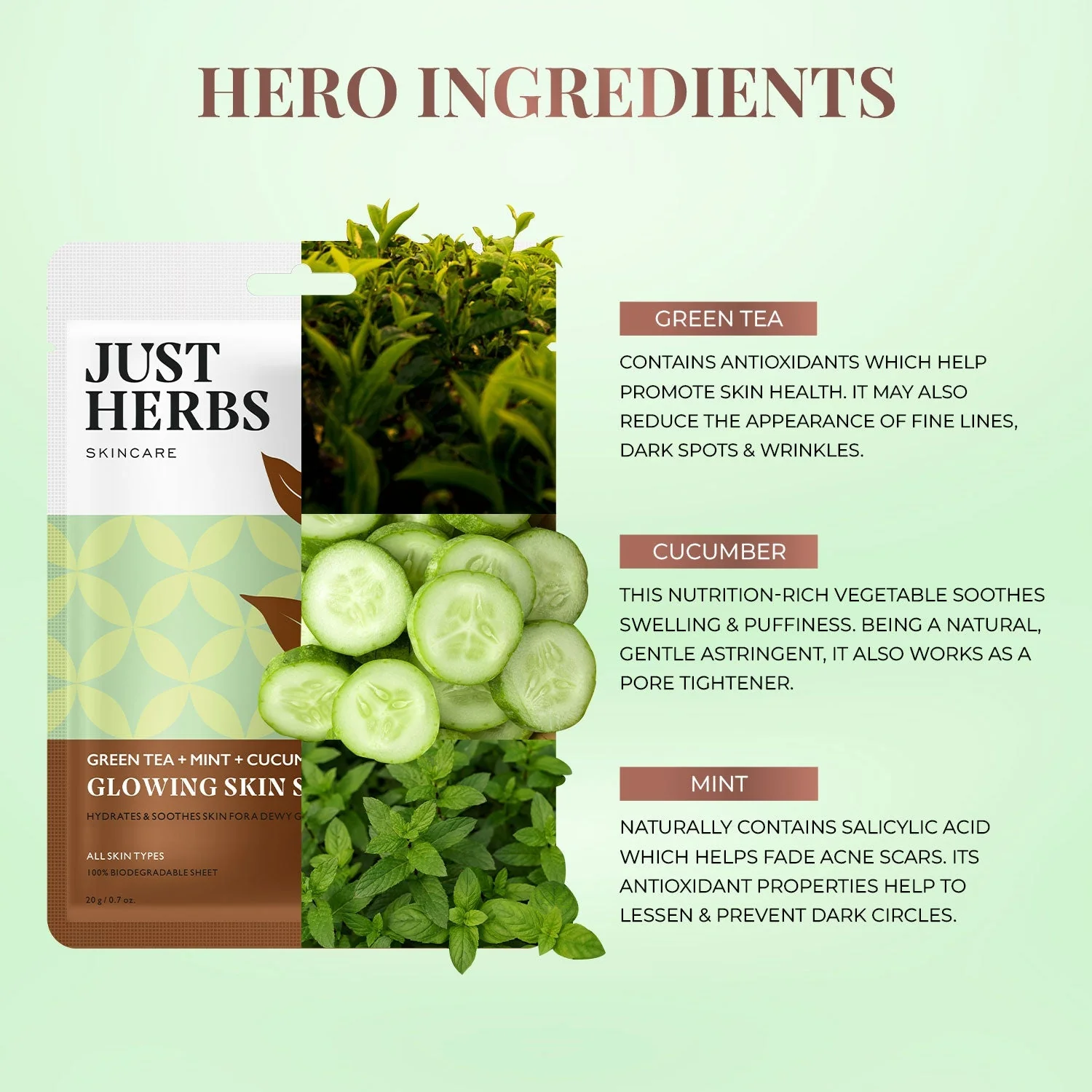 Green Tea Sheet Mask with Mint & Cucumber For Glowing Skin - Pack of 1 - Image 6