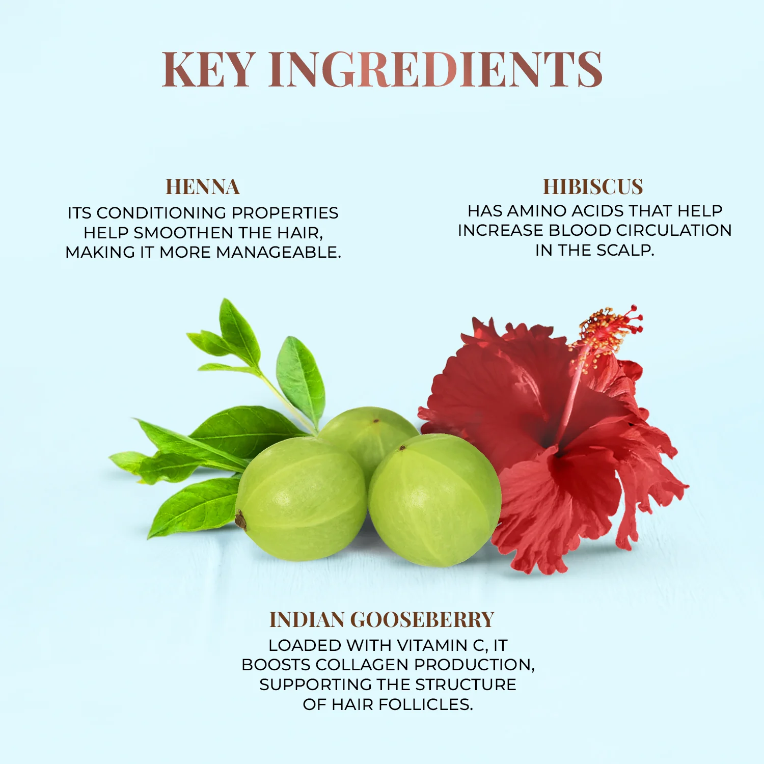Javakusum Hair Oil (Copy) - Image 4