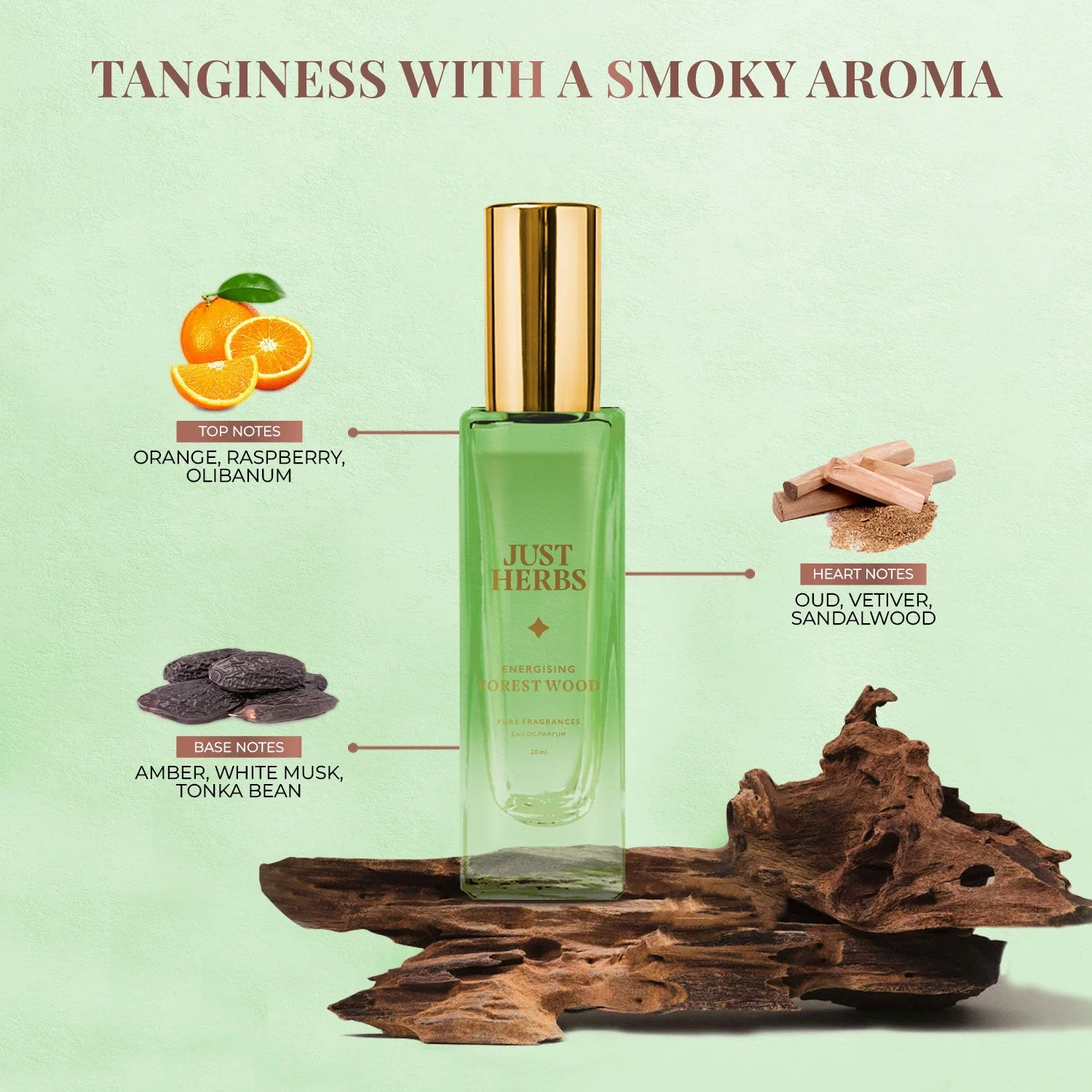 Just Herbs Energising Forest Wood Eau De Parfum - 20 ml - Image 4