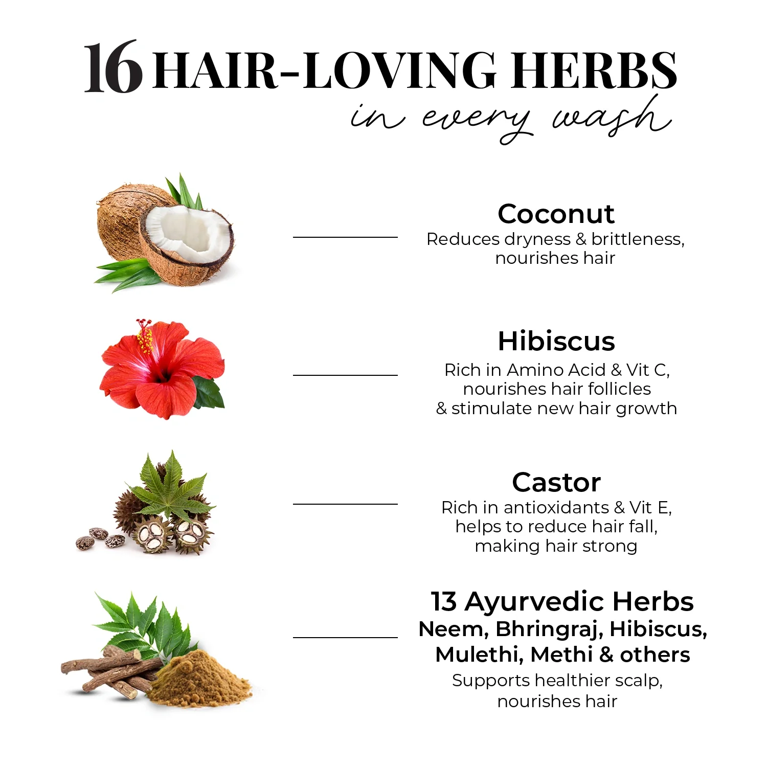 Strong & Nourish Conditioner | Coconut, Hibiscus, Castor & 13 Herbs - Image 5