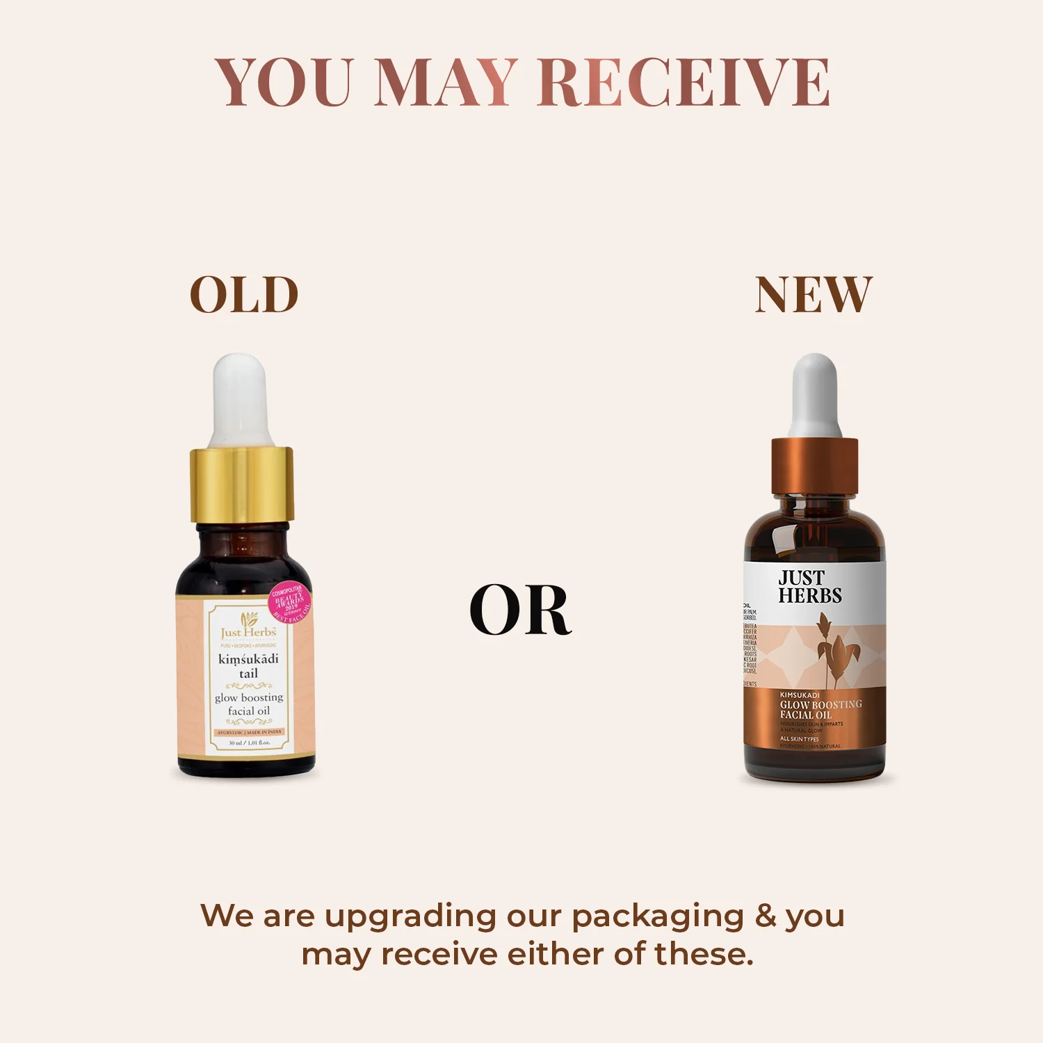 Kimsukadi Tail - Glow Boosting Facial Oil (Copy) - Image 8