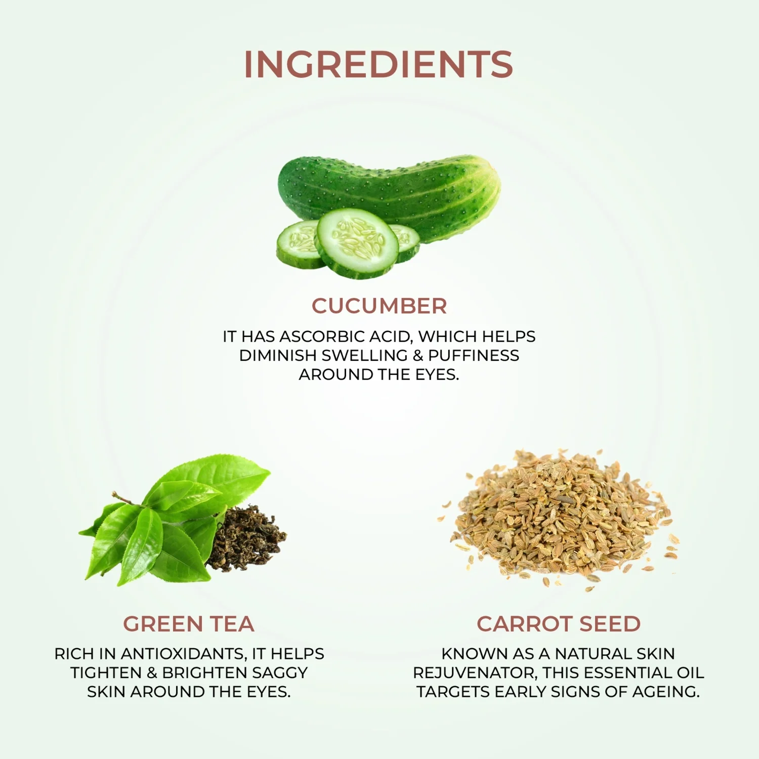Nourishing Under Eye Gel with Green Tea and Carrot Seed - Image 5