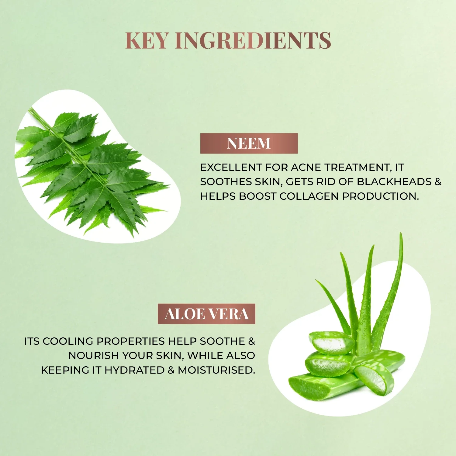 Plant Salicylic Acid Foaming Face Wash with Neem & Aloe Vera - Image 4