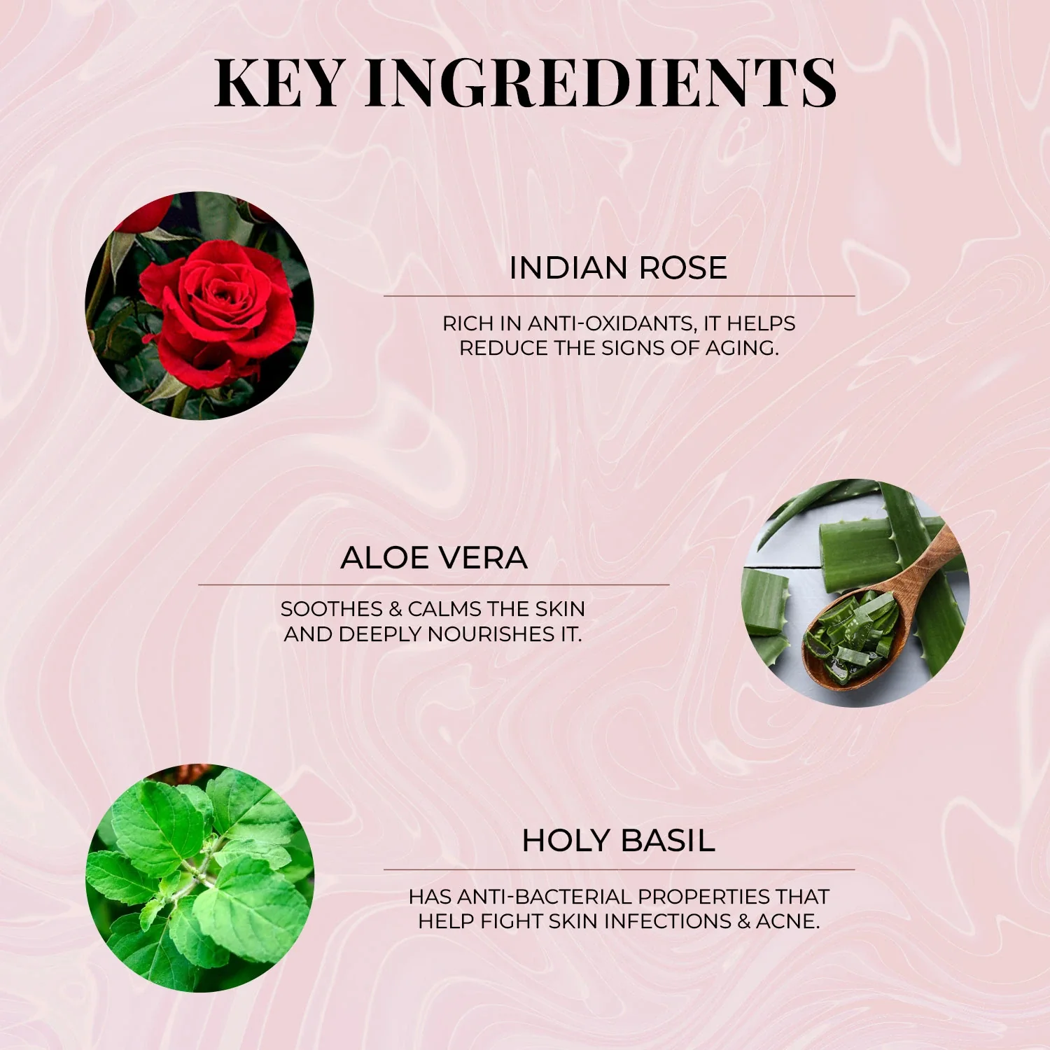Shatpatri Wild Indian Rose - Gentle Body Wash 300ml - Image 5