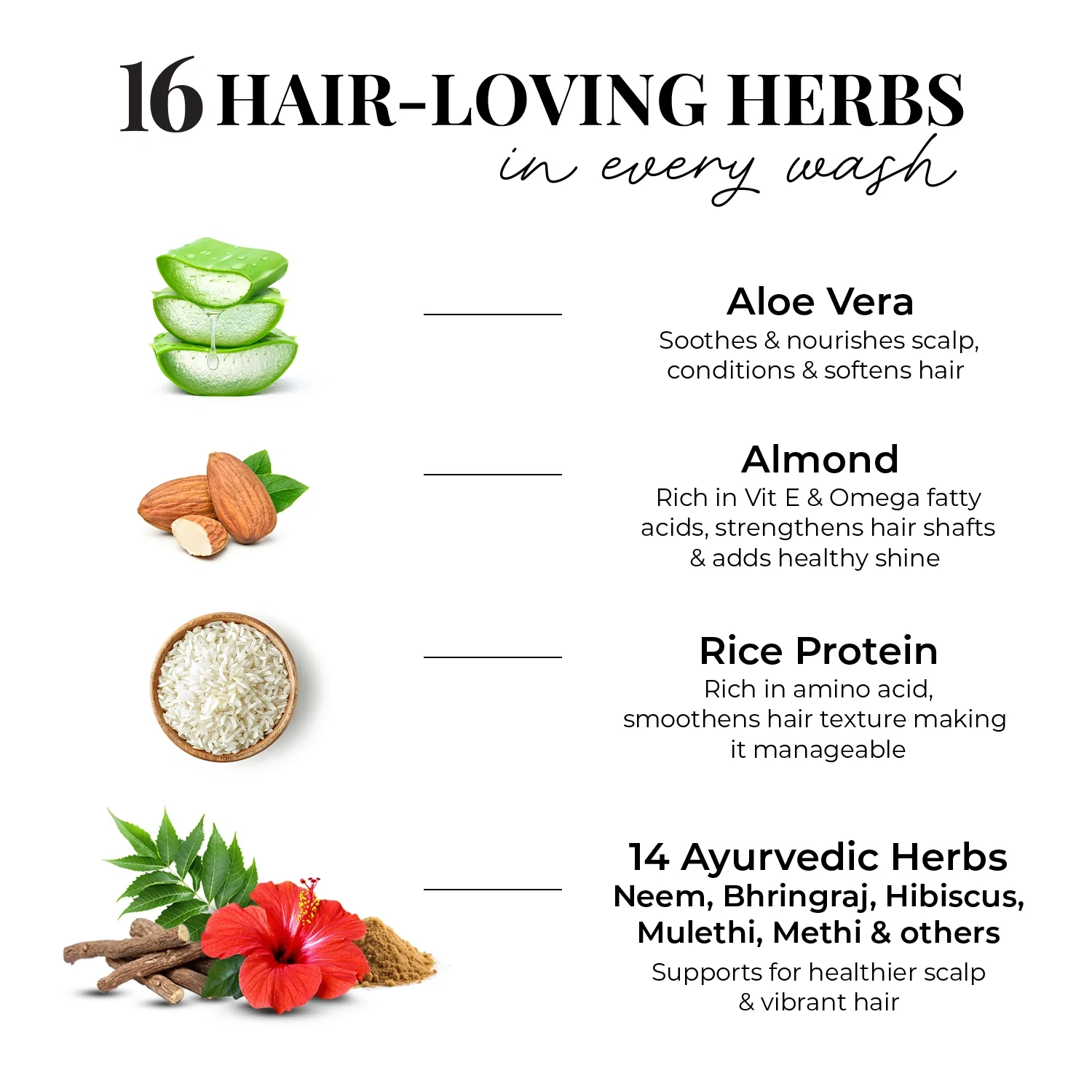 Smooth & Shine Conditioner | Aloe Vera, Almond & 14 Herbs (Copy) - Image 5