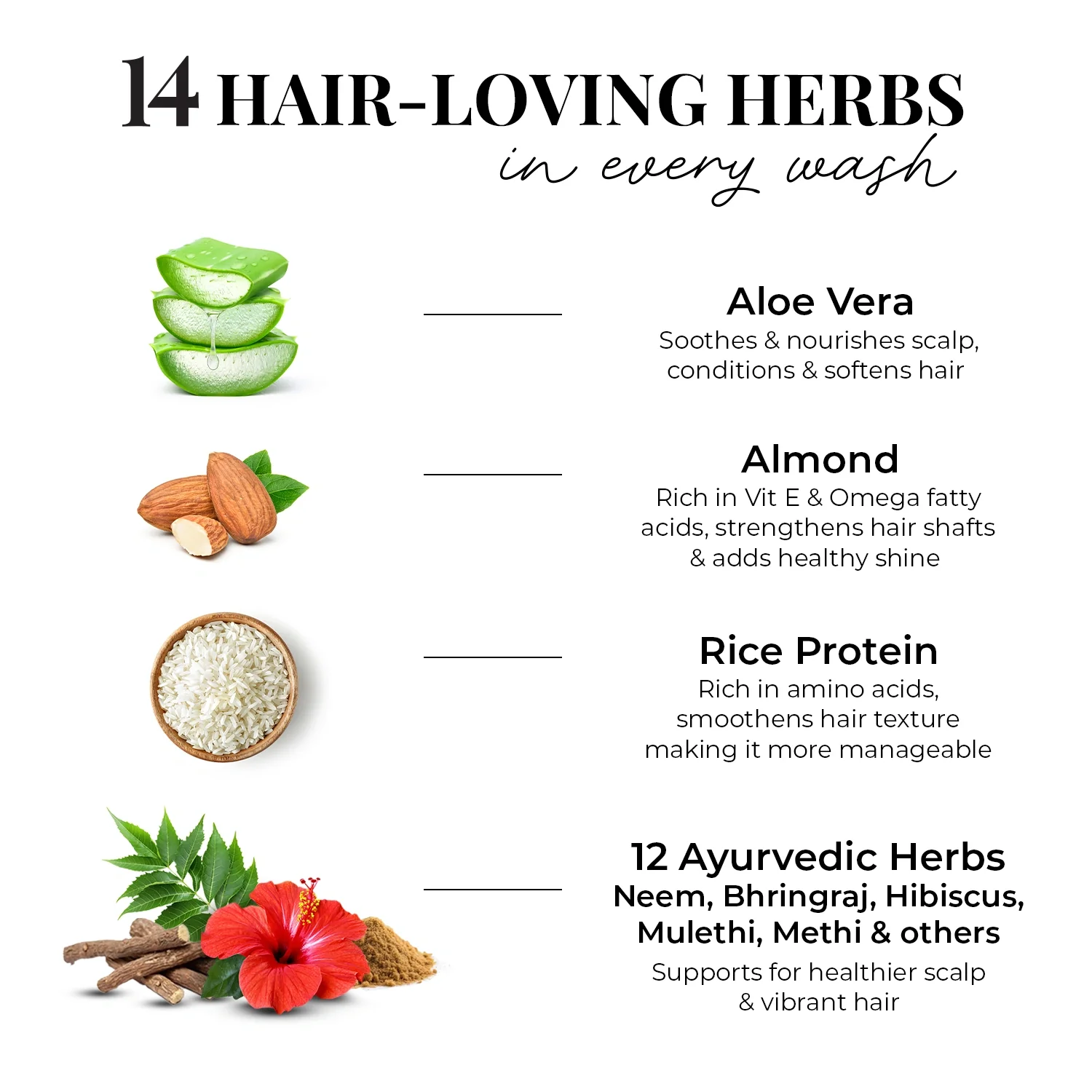 Smooth & Shine Shampoo for Dry and Frizzy Hair| Aloe Vera, Almond, Rice Protein & 12 Herbs - 200ml - Image 5
