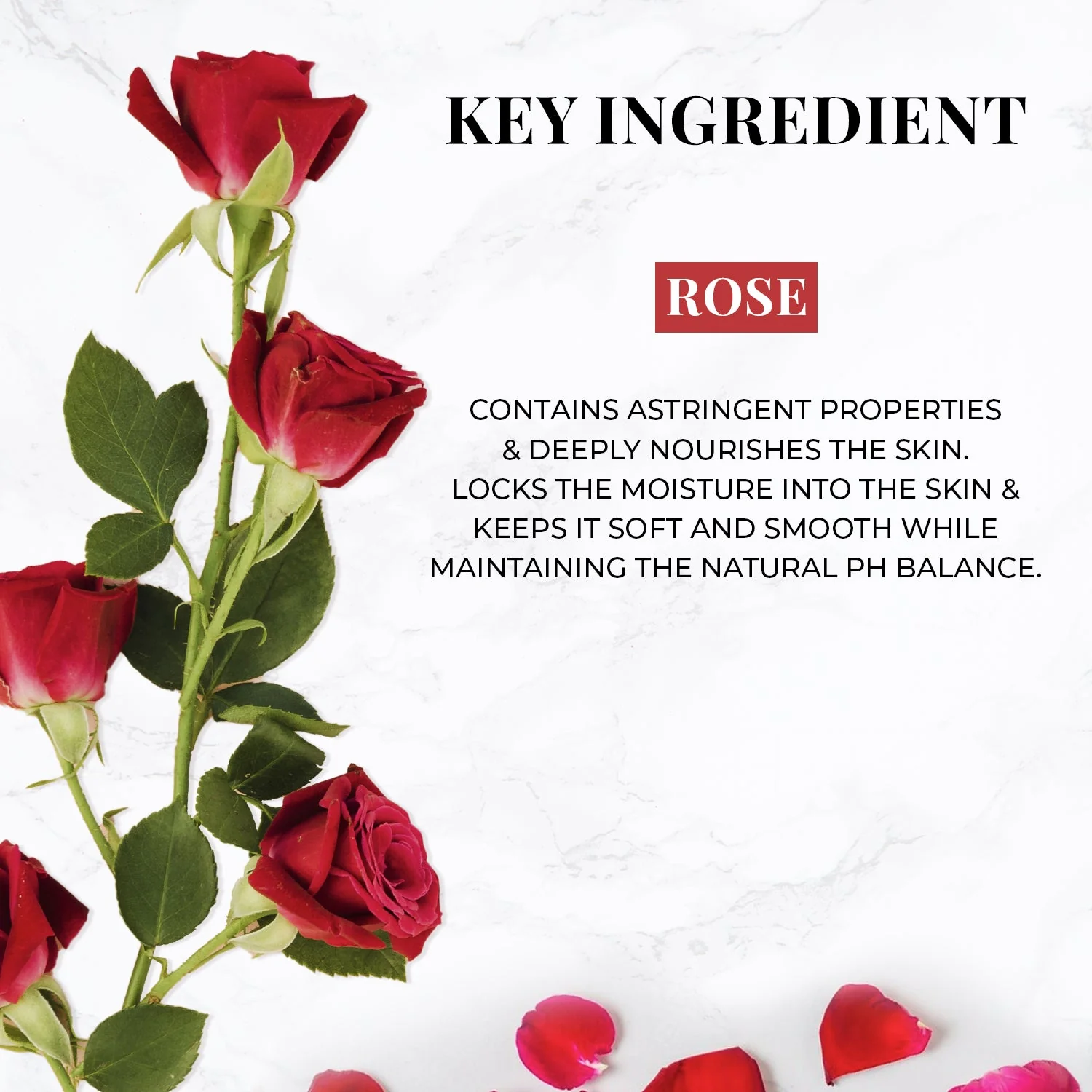 Wild Indian Rose Nourishing Handmade Bathing Bar:Pack of 1 - Image 4